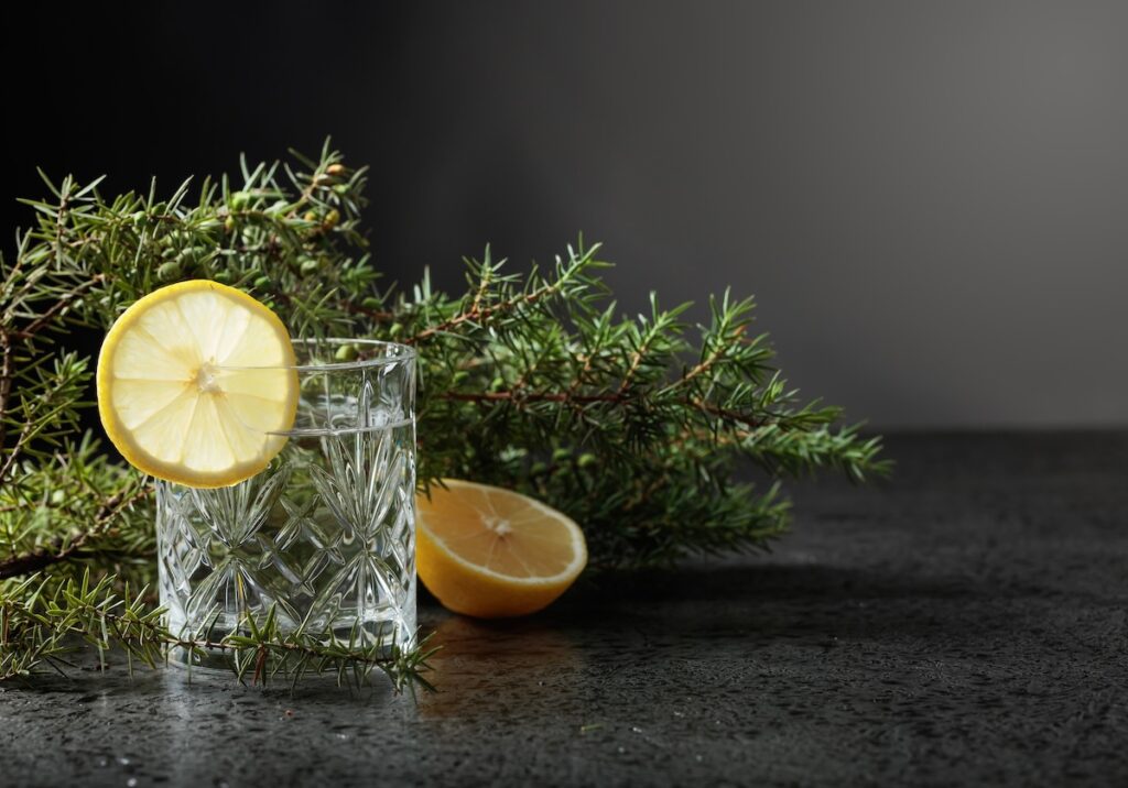 Glas mit Gin Tonic für das Gin Wiki Strandwetter Destillerie